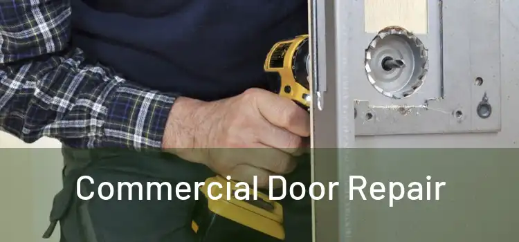  Commercial Door Repair 